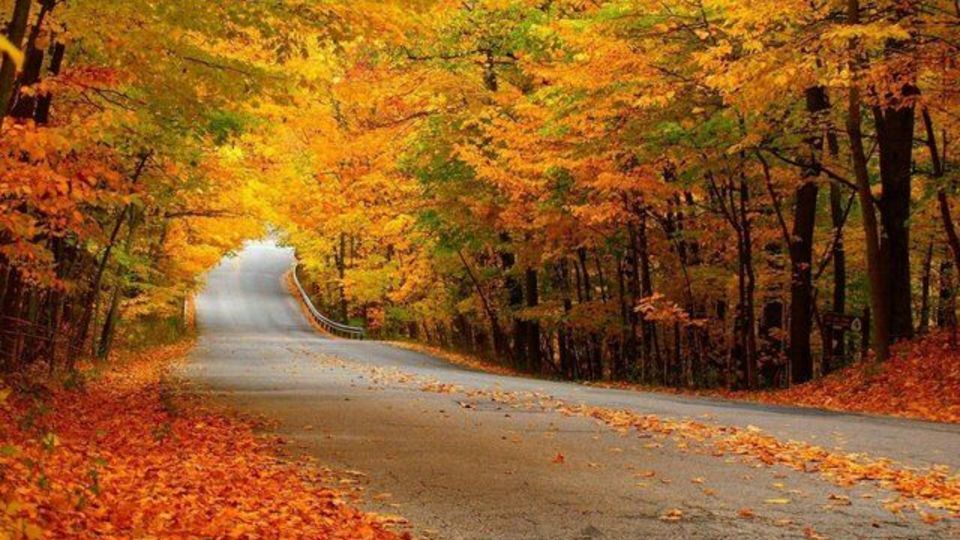 mazandaran medical travel